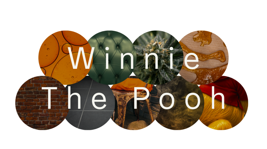 Winnie the pooh