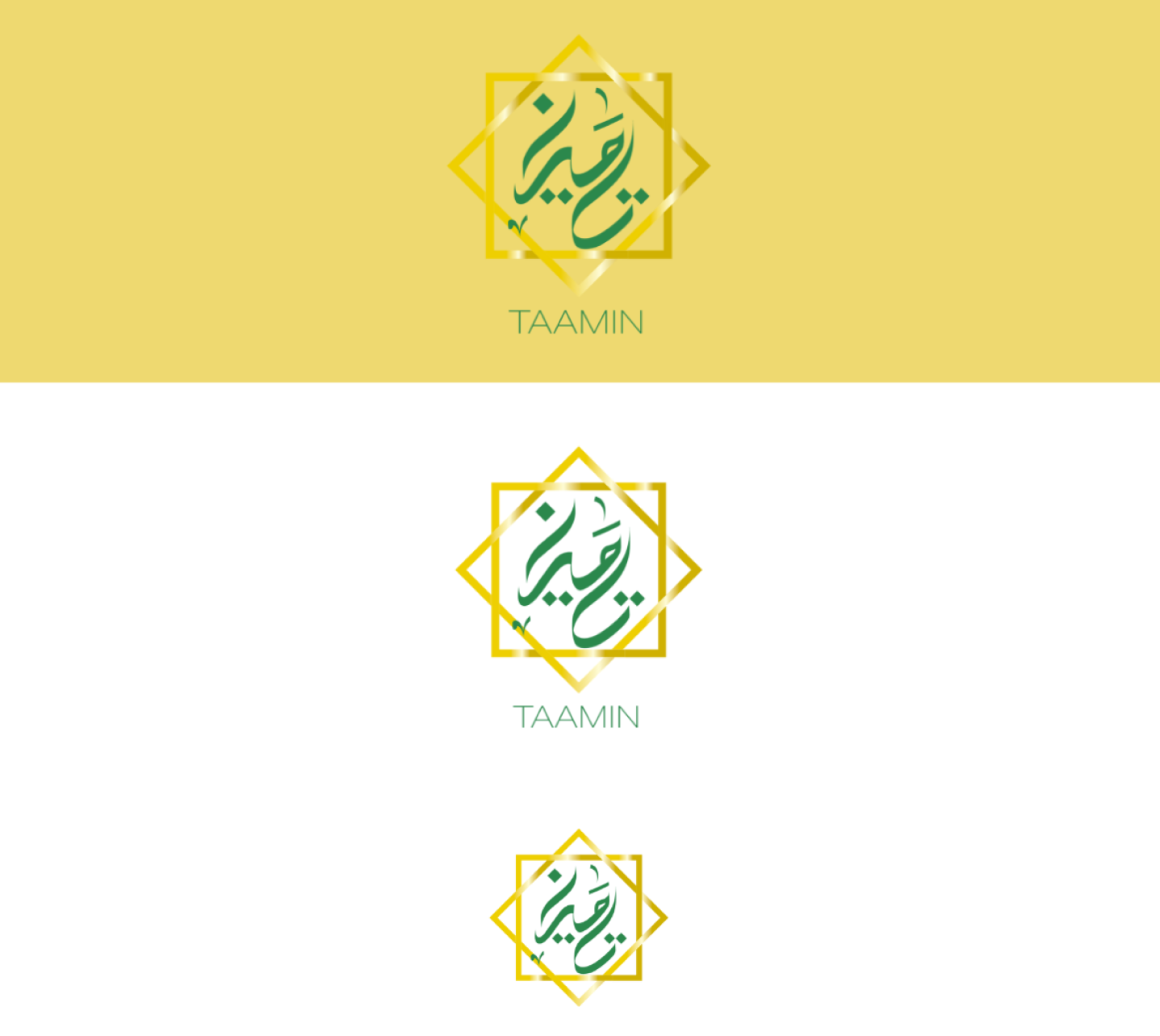 TAAMIN