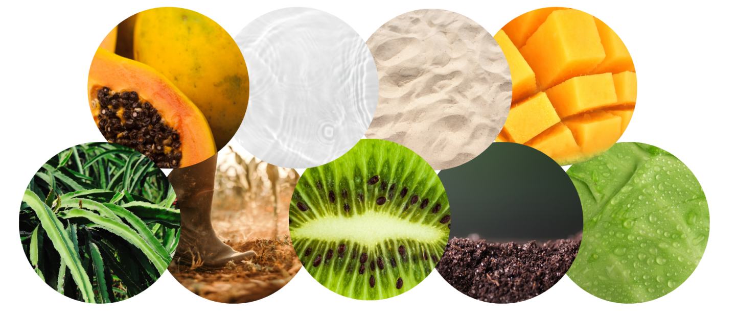 EARTH VITALITY